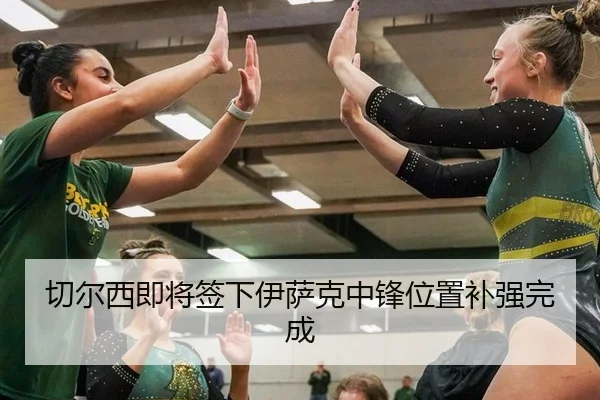 切尔西即将签下伊萨克中锋位置补强完成